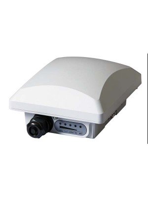 Ruckus ZoneFlex P300